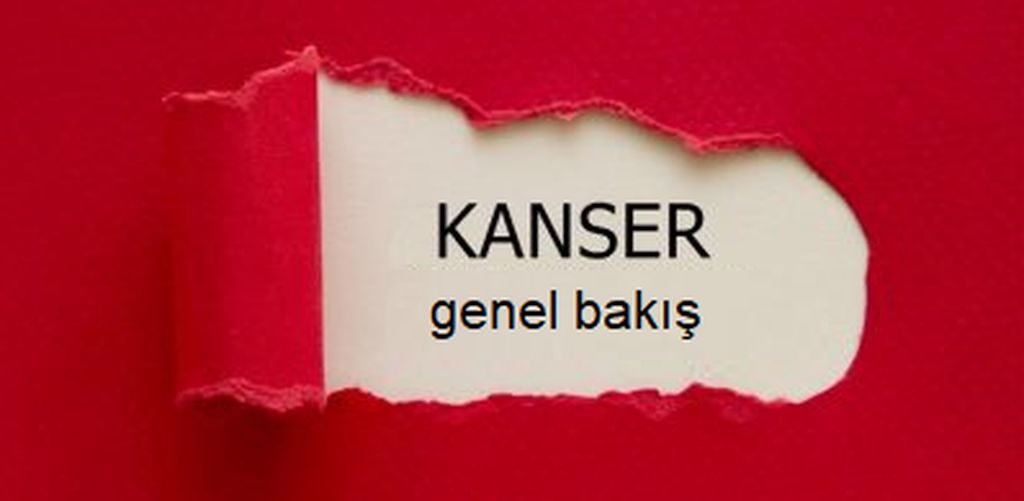 kanser_1024x501 - Dr. Sinan Akkurt